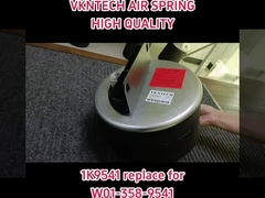 Verwijderingen van de luchtophangingen 1K9541