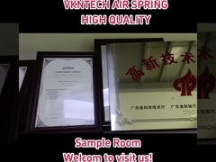 De Lentes van de luchtopschorting