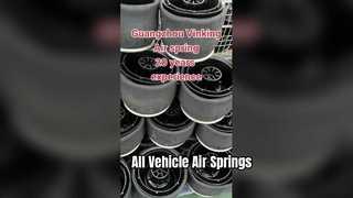 fabrikant van luchtveren voor alle soorten luchtveren